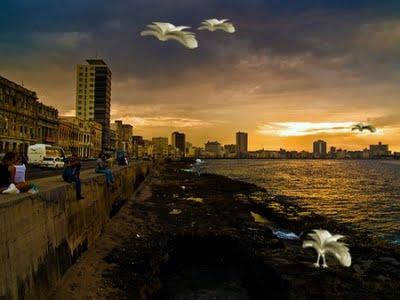 Arte en La Rampa y Noche de los libros