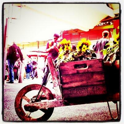 Diez enlaces para entender la semana: blogosfera sanitaria