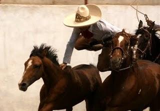 Quiere Tamariz “A”, otra corona