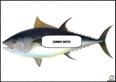 Nuevo etiquetado para el atún rojo