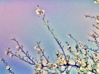 El Parque De Los Cerros - Ruta hacia el Castillo de Alcalá La Vieja 1ª Parte: