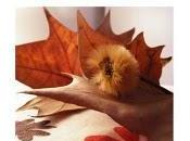 otoño Suyai