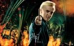 Wallpapers: “Harry Potter y las reliquias de la muerte (Parte 2)”