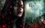 Wallpapers: “Harry Potter y las reliquias de la muerte (Parte 2)”