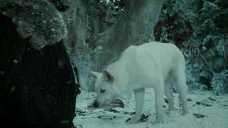 6 Review: S01E07 You win or you die