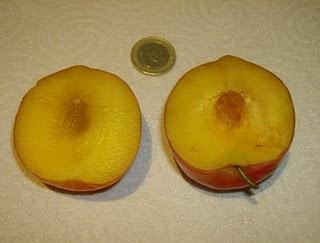 La ciruela roja, otra fruta más