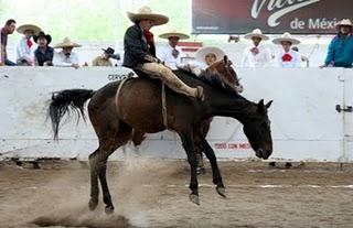 Fueron excelentes La Biznaga y Rancho Tulipán