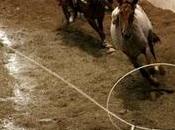 Nuevo Regionales Huichapan Excelencia