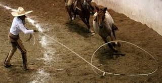 De Nuevo Regionales de Huichapan en la Excelencia