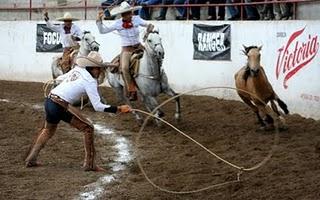 Los “Pichones” al primer nivel