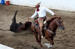 Los “Pichones” al primer nivel