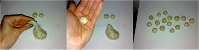 Picos variados de Lacajita