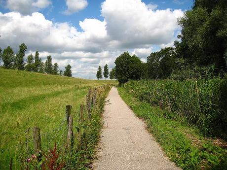 GTD. Más allá de las acciones y los proyectos GTD. Más allá de las acciones y los proyectos