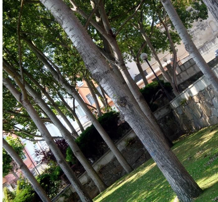 Every Teardrop Is A Waterfall