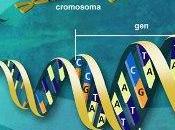genoma humano, importante avance ciencia moderna