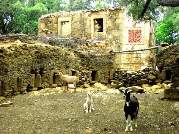 Hibridación digital con QR