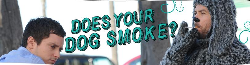 Perro que habla no muerde