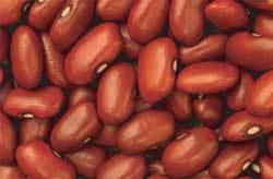 Mis mejores aliados a la hora de comer