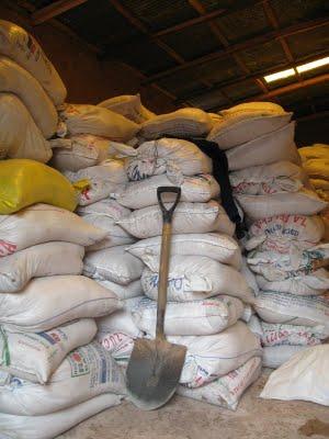 LAS SALINERAS DE MARAS DEL CUSCO