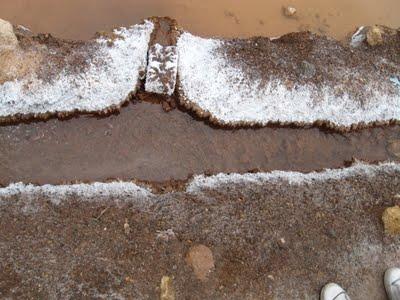 LAS SALINERAS DE MARAS DEL CUSCO