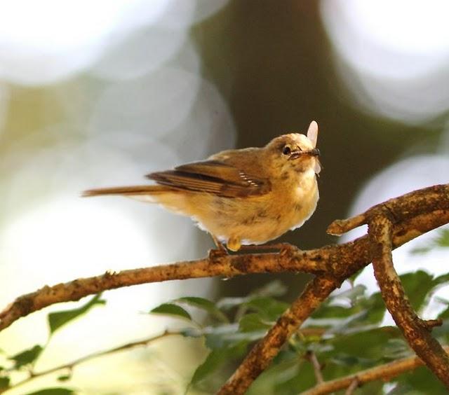 EL BOSQUE SIEMPRE DA MAS,SOLO RESPETALO.