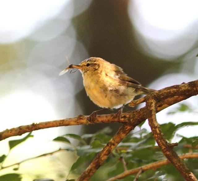 EL BOSQUE SIEMPRE DA MAS,SOLO RESPETALO.