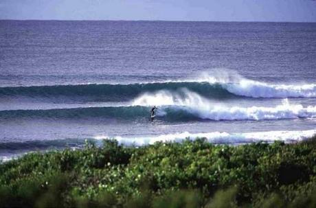 jbay3 Camino a Jeffreys Bay 2011