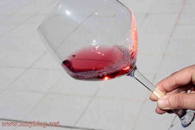 Cata  de vinos de la D.O Utiel-Requena