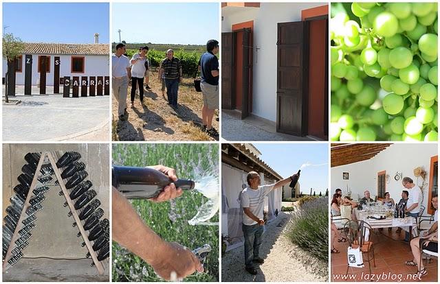 Cata  de vinos de la D.O Utiel-Requena