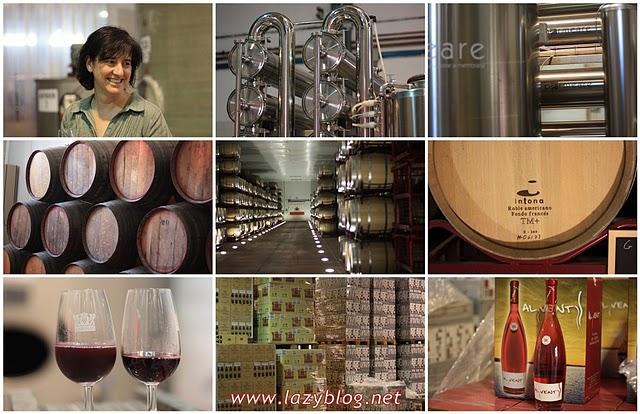 Cata  de vinos de la D.O Utiel-Requena