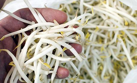 Ministros de la UE evalúan la seguridad alimentaria en Polonia