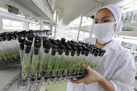 BIOTECNOLOGÍA: OTRA FORMA DE CONTAMINAR.