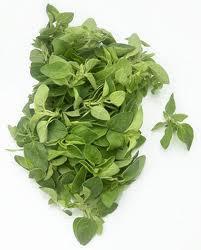 Propiedades del oregano para nuestra salud