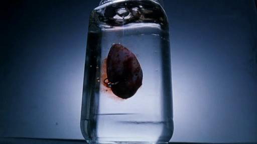 ‘Ichi The Killer’ – Catarsis de visceras y semen