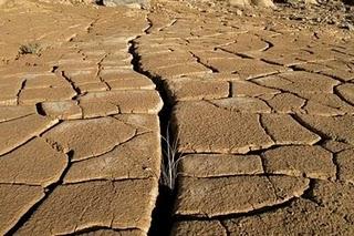 En Europa se producirían 15.000 muertes al año a causa del calor
