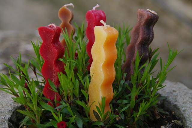 Encantadora inspiración en L'Ampurdá