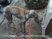 Haz clic para ver en grande