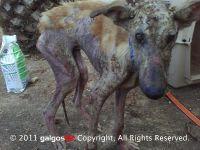 Haz clic para ver en grande