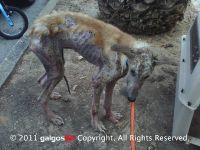 Haz clic para ver en grande