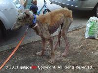 Haz clic para ver en grande