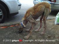 Haz clic para ver en grande