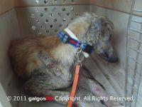 Haz clic para ver en grande