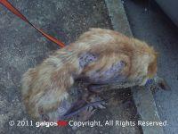 Haz clic para ver en grande