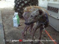 Haz clic para ver en grande