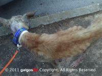 Haz clic para ver en grande