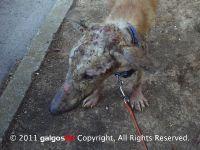 Haz clic para ver en grande