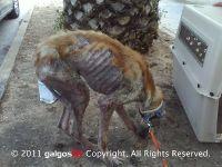 Haz clic para ver en grande