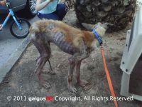 Haz clic para ver en grande