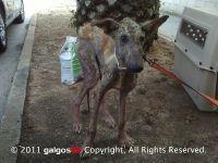 Haz clic para ver en grande