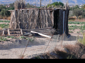 Autoconstrucción, redes, experiencias tácticas para extender arquitectura